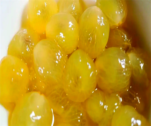 葡萄罐頭糖度檢測 葡萄罐頭酸度檢驗(yàn)?zāi)睦锟梢宰?/></div>
        <span>葡萄罐頭糖度檢測 葡萄罐頭酸度檢驗(yàn)?zāi)睦锟梢宰?/span>
        <p>價(jià)格：<em>￥面議.00起</em></p>
        </a></li>
            <li><a href=